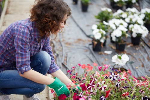 Gardener working on a terraced front garden in Kings Cross