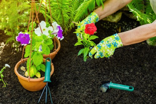 Gardener working in a Kings Cross garden by decking area
