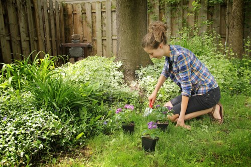 Team clearing vegetation from an urban backyard in Kings Cross